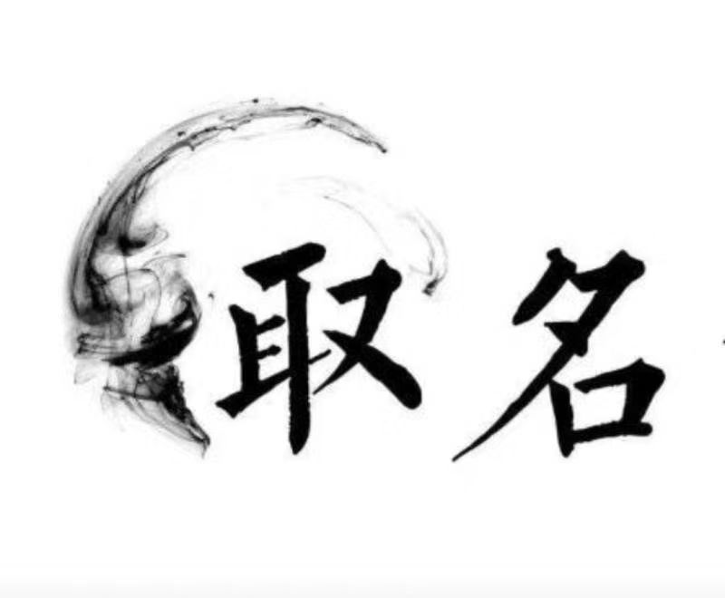  昭阳宝宝取名 大师一对一人工起名